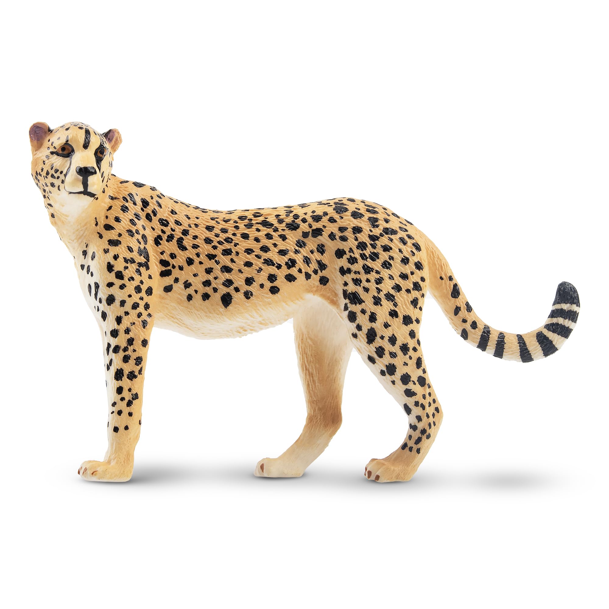 TOYMANY Gepardy figurki zwierząt, las, zwierzęta, figurki, 9,6 x 2,7 x 6,2