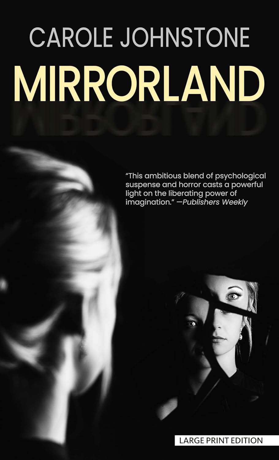 Mirrorland (Thorndike Press Large Print Thriller, Adventure, and
