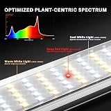 Spider Farmer SE3000 Lampe Horticole LED 300W avec Contrôle via App - 7