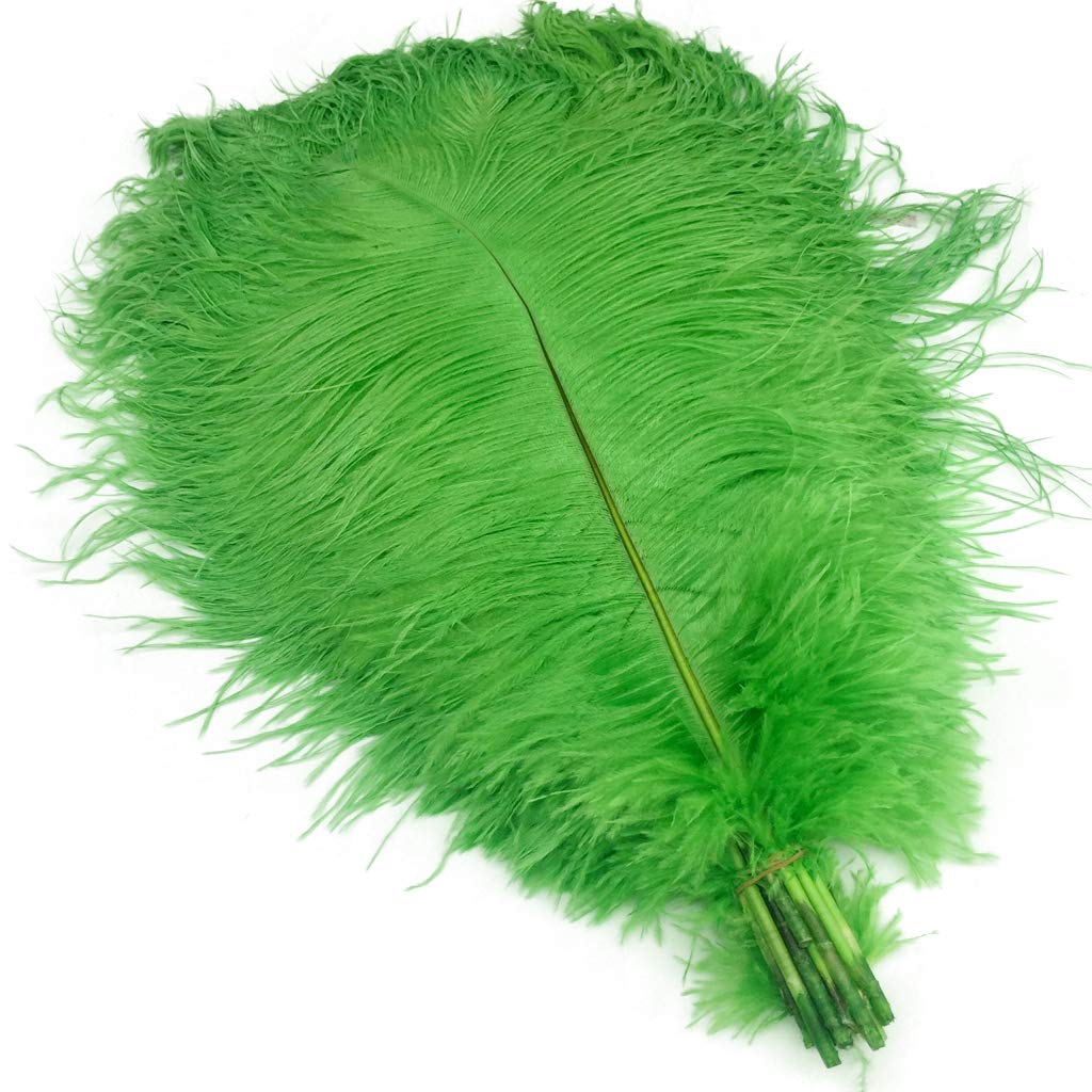 Shekyeon 16-18inch 40-45cm Ostrich Feather DIY Craft Feather Pack of 10(Lime Green) — image 1