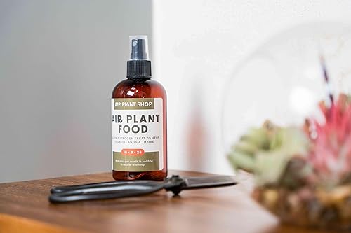 Miniatura 5 de Regadera de cristal para plantas  Botella de spray de 8 onzas de oro para plantas  Regadera con una sola mano para plantas de interior