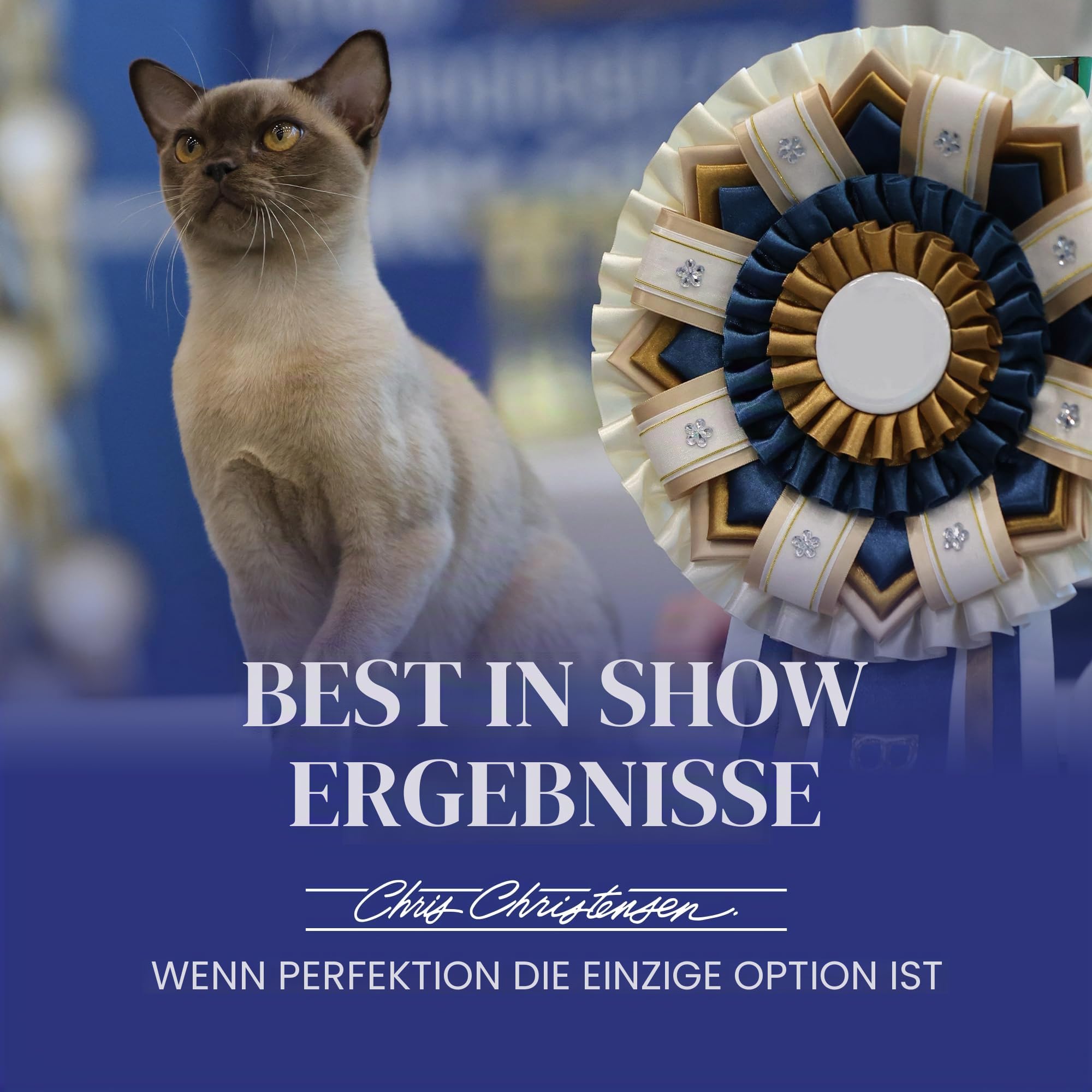 Chris Christensen # 013 Katze/Kardieren alle Fein Dual Zahn Pet Kamm, 15,2 cm