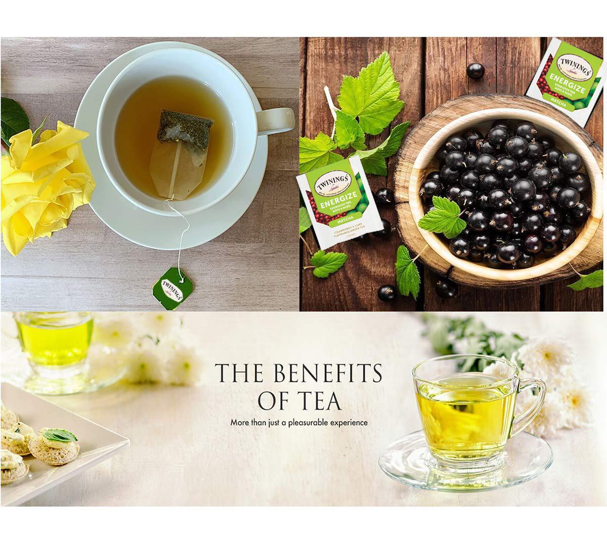 Black Tea Bags Sampler Assortment Variety Pack Gift Box - 48 Count - Perfect Gifts Variety for Christmas, Women, Men, Friends, Office