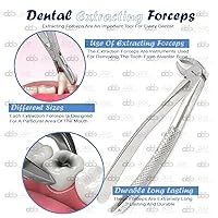 Vista 2 de Pinza extractora # MD3 Dental