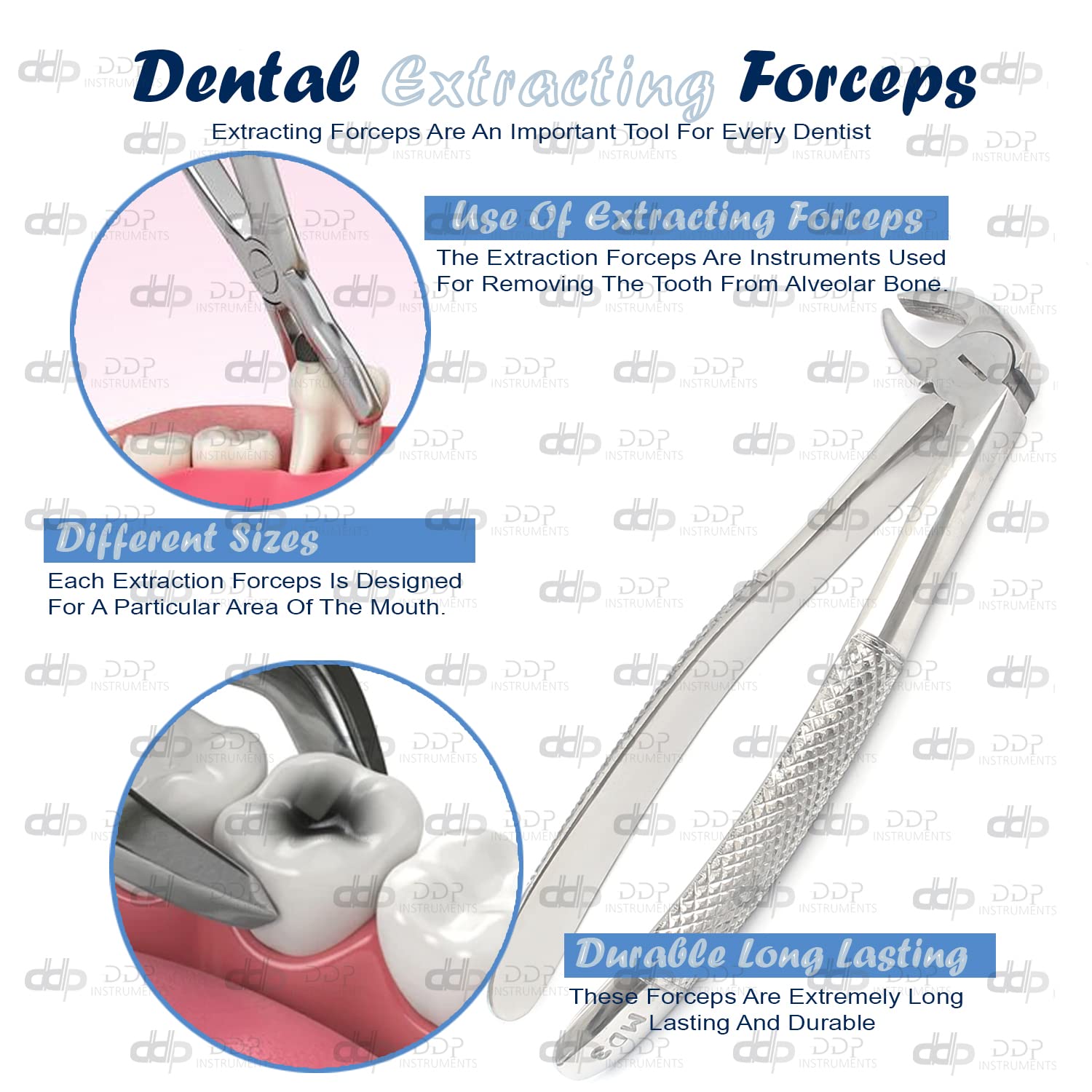 8 PCS 'Basic Dental EXTRACTING Extraction Forceps Elevators Set