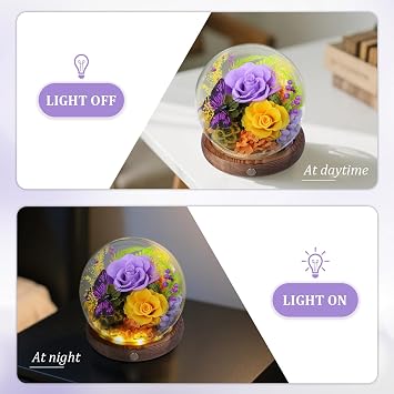Long-Lasting Real Preserved Flowers in Glass Dome - Unique Starfish or Butterfly Eternal Roses Gift with LED Lights for Women Monther Indoor Decoration, Butterfly and Purple Yellow Rose