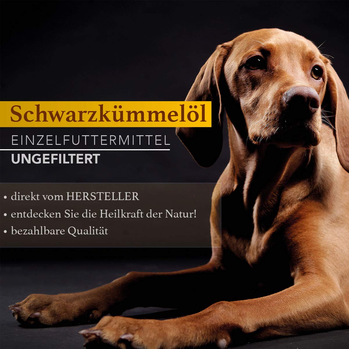 Naturzade Schwarzkümmelöl für Pferde & Hunde, 5 Liter, kaltgepresst mühlenfrisch direkt vom Hersteller