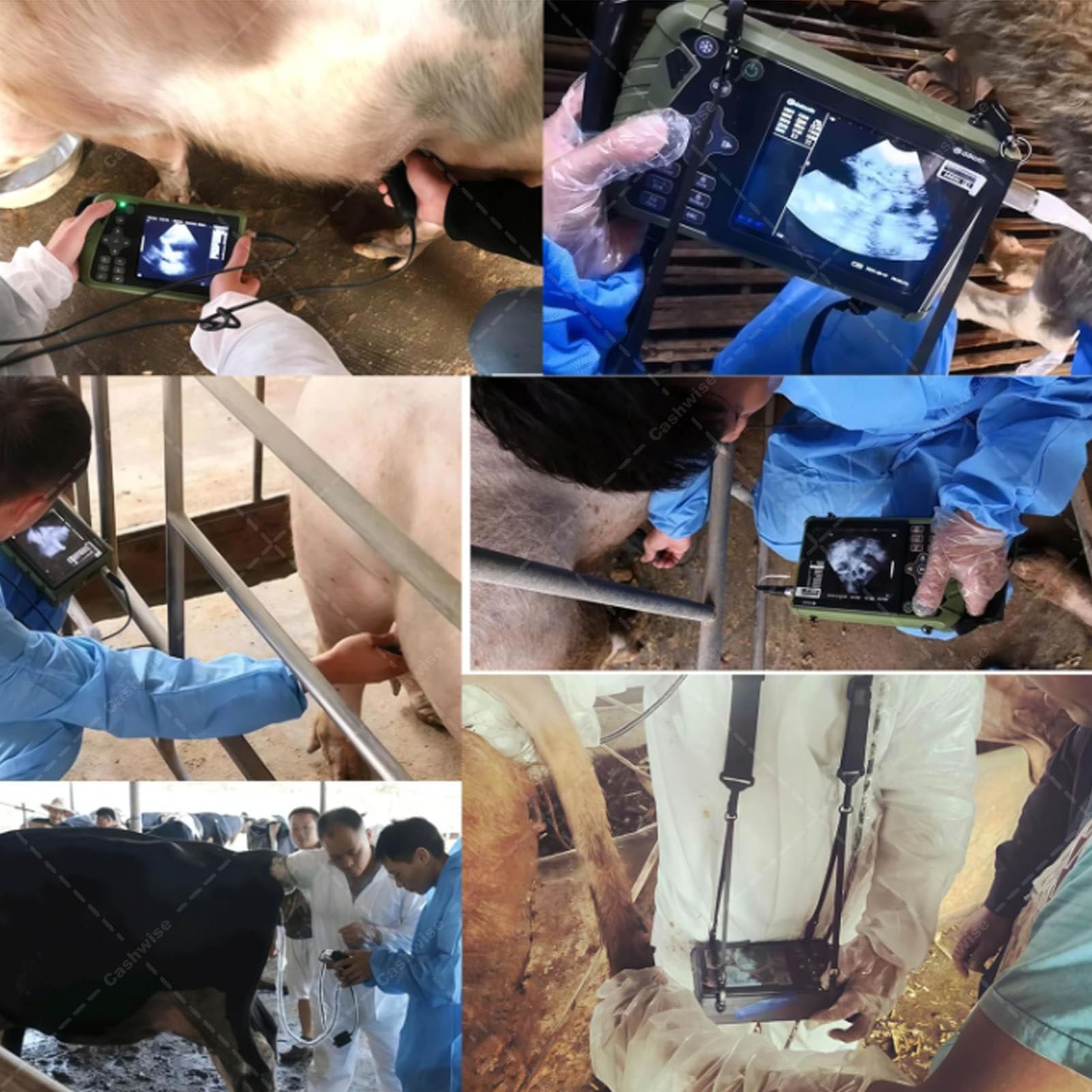 Échographe vétérinaire Portable, sonde 3,5 MHz, écran LED 5,6 Pouces, Images HD, pour la Gestation des porcs, Moutons, Chiens et Chats