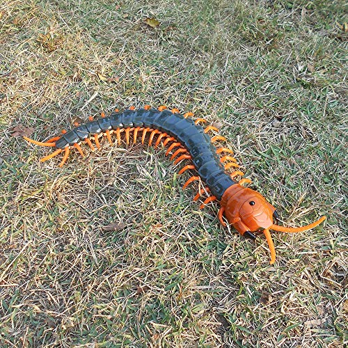Tipmant Simulation Large Size Rc Centipede Scolopendra Infrared Remote Control Animal Vehicle Car Insect Electric Toy Kids (Navy Green) #TOP4