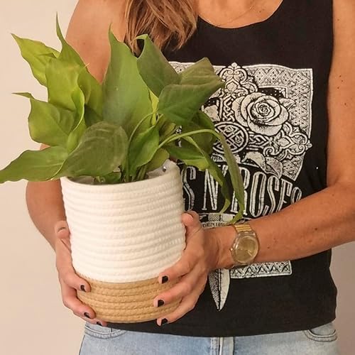 Miniatura 3 de VMS - Paquete de 3 cestas colgantes de cuerda de yute para colgar en la pared para organizar, cesta colgante de pared, cesta de almacenamiento