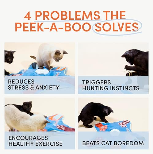 Interactive Cat Toy for Indoor Cats — packaging and what arrives in the box