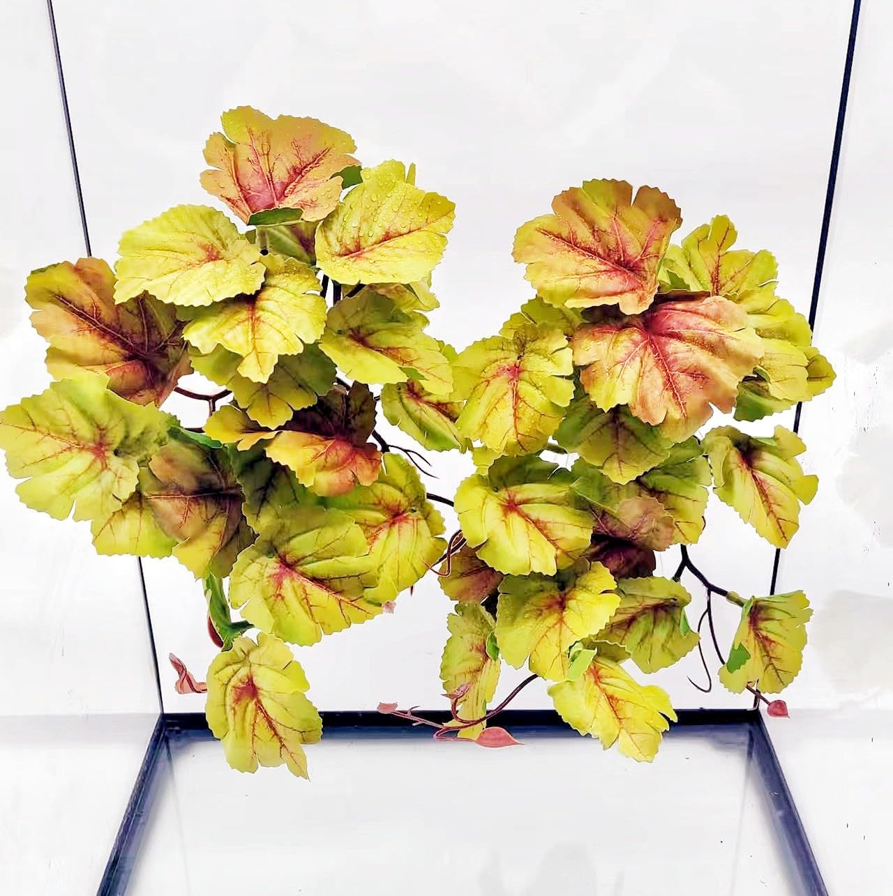 Plantes de reptile pour terrarium, amphibien, plantes artificielles à suspendre avec ventouse, plantes artificielles pour gecko, caméléon, serpent, tortue, accessoires d'aquarium (FL-7)