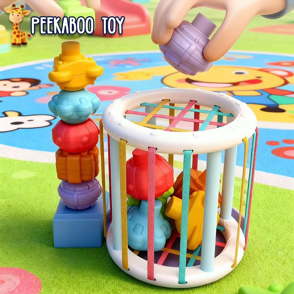6 in 1 Baby Toys Montessori Toys for 1 Year Old Boys Girls 1st Birthday Gifts, Multi Sensory Shape & Stacking Toys Toys for Babies Early Educational Baby Travel Toys for Toddler Age 1-3