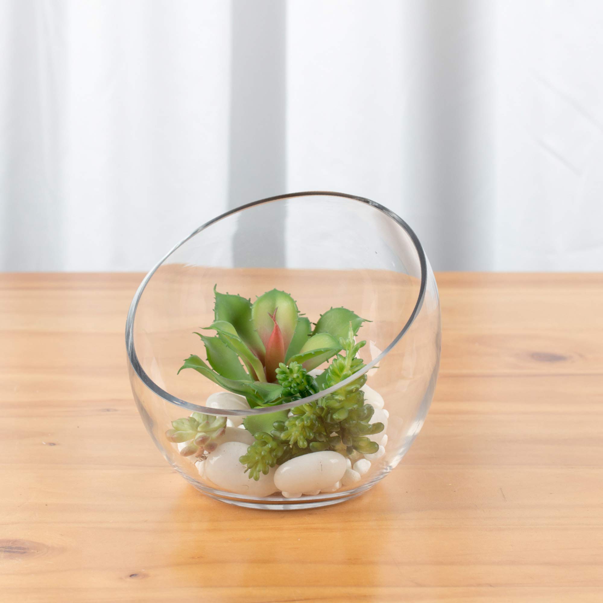 Terrario In Vetro Rotondo Smussato 14 Cm - Vaso Portapiante Per Succulente E Centrotavola