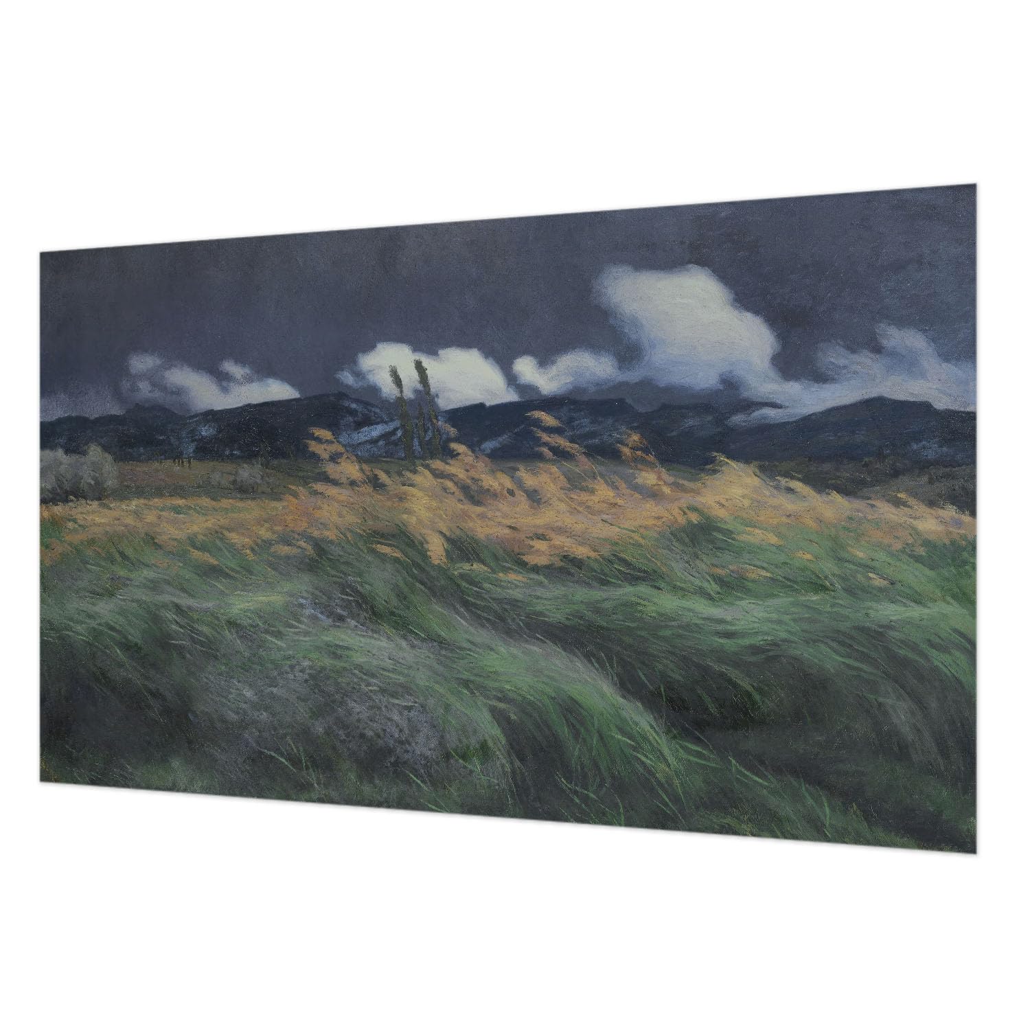 Papier peint décoratif herbes soufflées 416x254cm