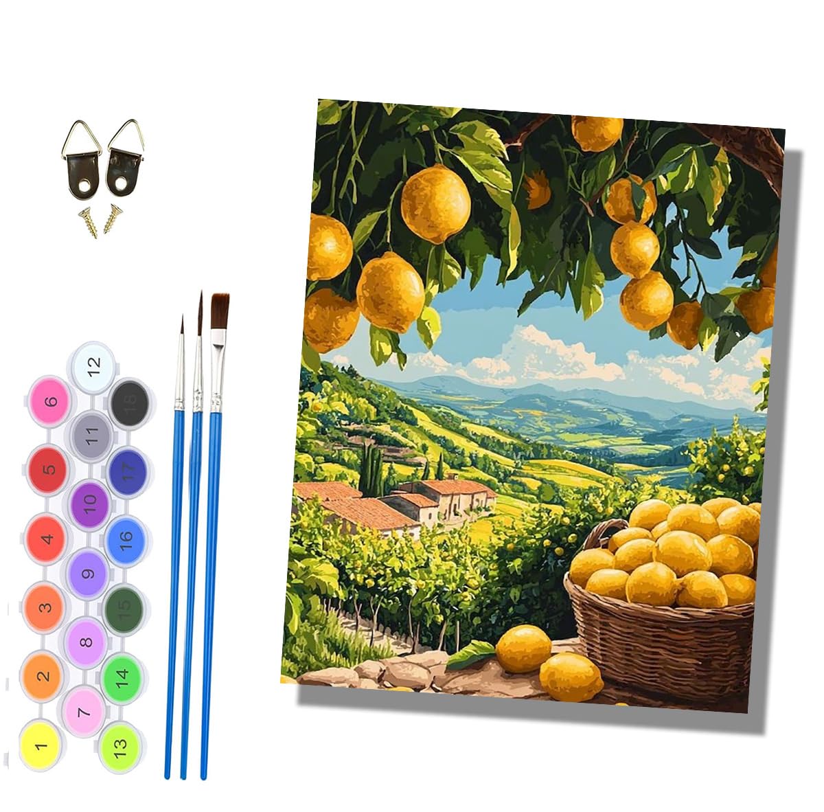 HONGPZH Paint by Numbers for Adults and Beginner Painting by Number Kits On Canvas Without Frame Painting Acrylic Paints Home Wall Decor 40x50cm/16x20in Lemon Basket and Countryside