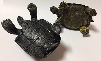 Amazon.co.jp: 亀 フィギュア 2体1組 ホシガメ・アルダブラゾウガメ