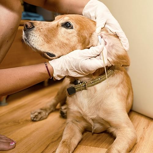 Miniatura 4 de Paquete de 200 hisopos largos y grandes para orejas de perro con palos de bambú: perfecto para la limpieza de orejas de perro y el tratamiento