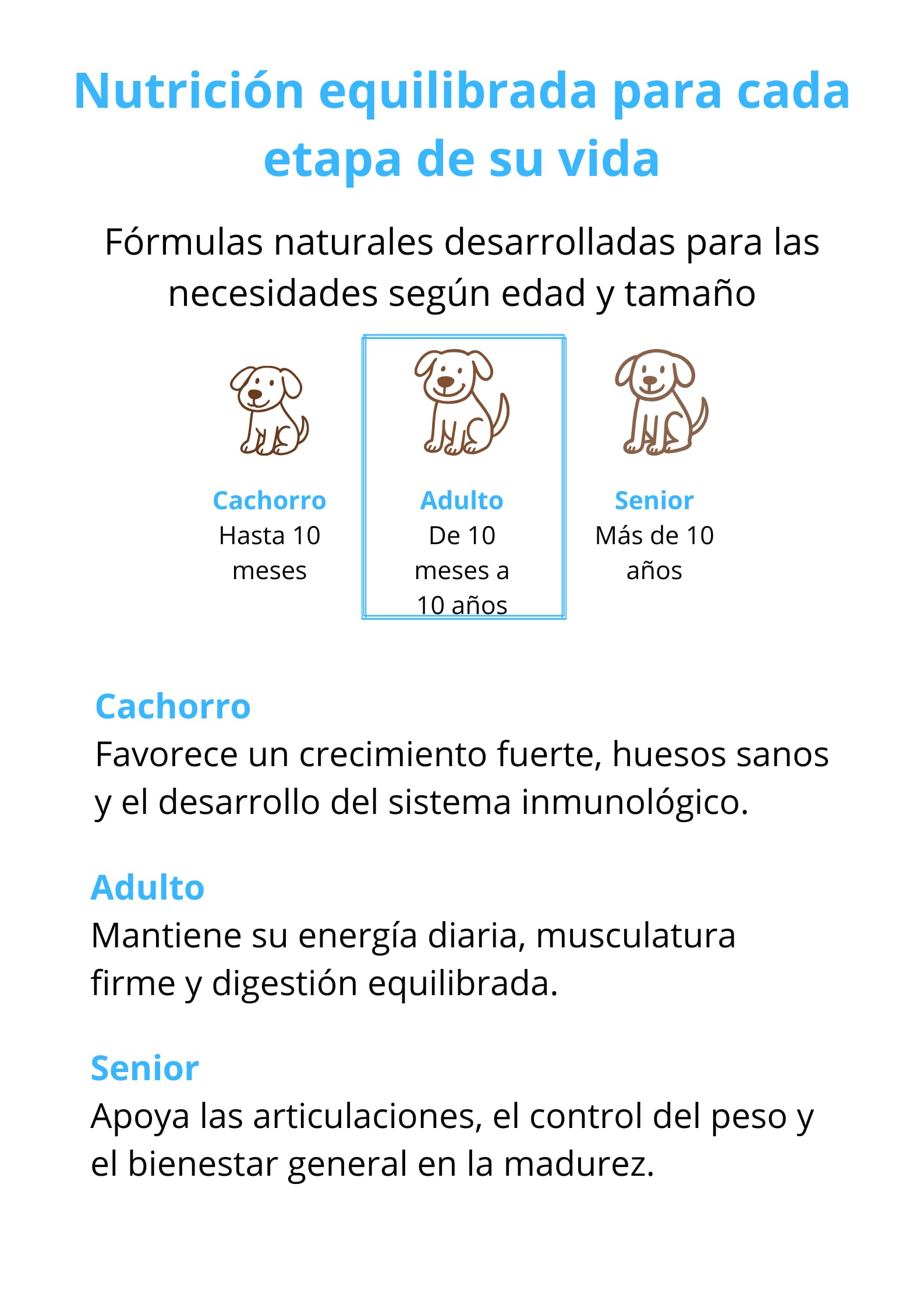 Fillip Mango Pienso Húmedo para Perros Adultos, Salmón con Arroz, Ciruelas y Caléndula, Todas Las Razas, 12 kg