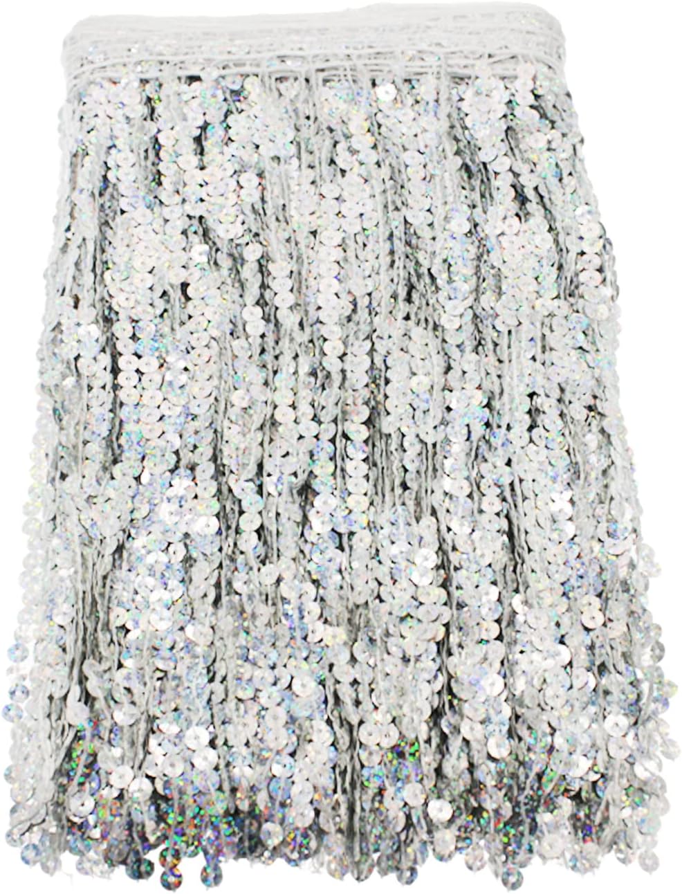Yalulu 6.5 Yards/Lot 30CM Encryption Sequins Lace Tassel Fringe Trim for DIY Latin Dance Stage Costume Decor (Silver)