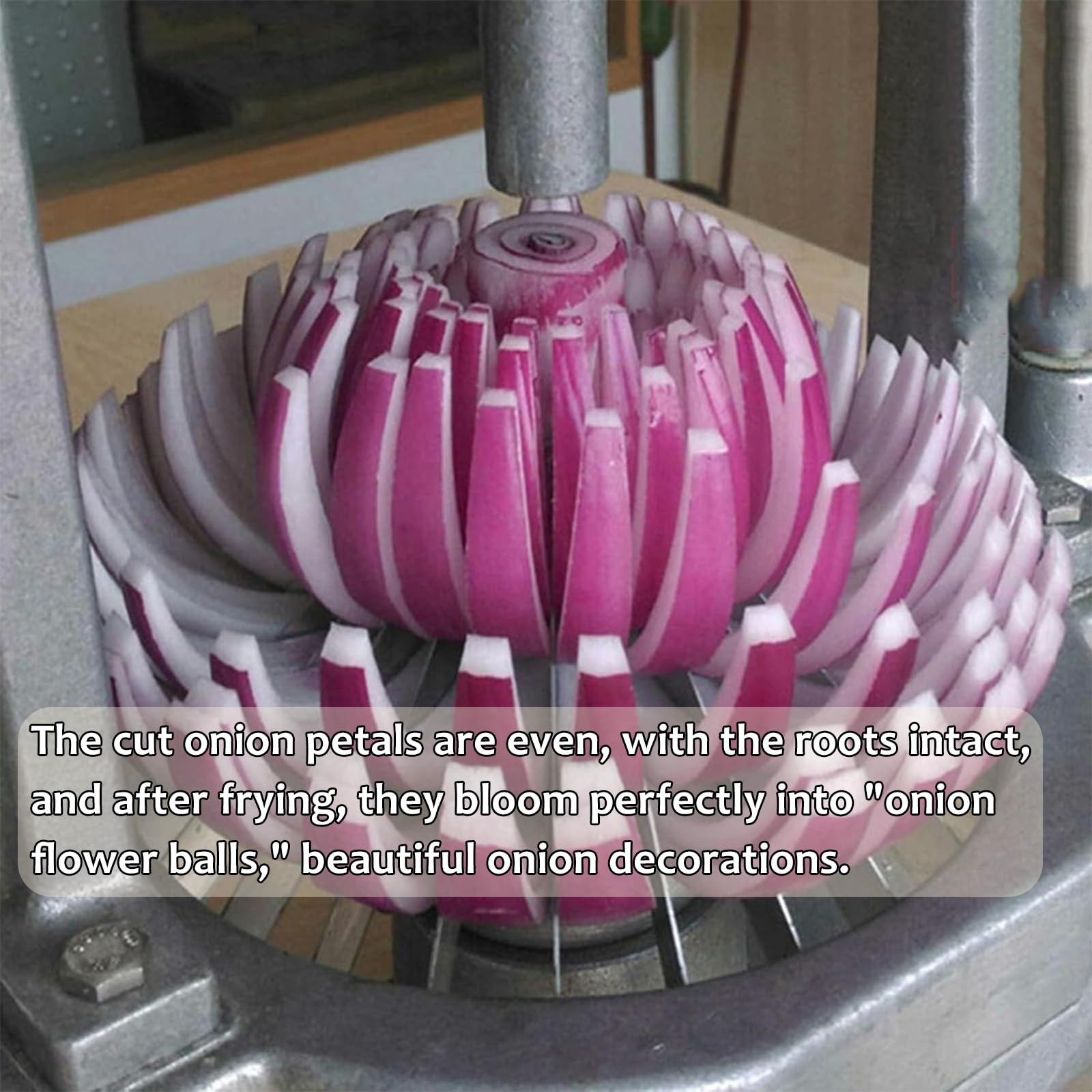 Cipolla Blossom Maker, fioritura cipolla Cutter per ristoranti e negozi di
