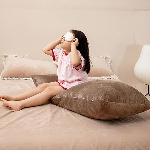 Miniatura 108 de TELUS 2 Pack Zippered Velvet Standard Pillowcases, Super Soft and Cozy Luxury Fuzzy Flannel Pillow Cases with Zipper, 20x26 Inches, Light Blue