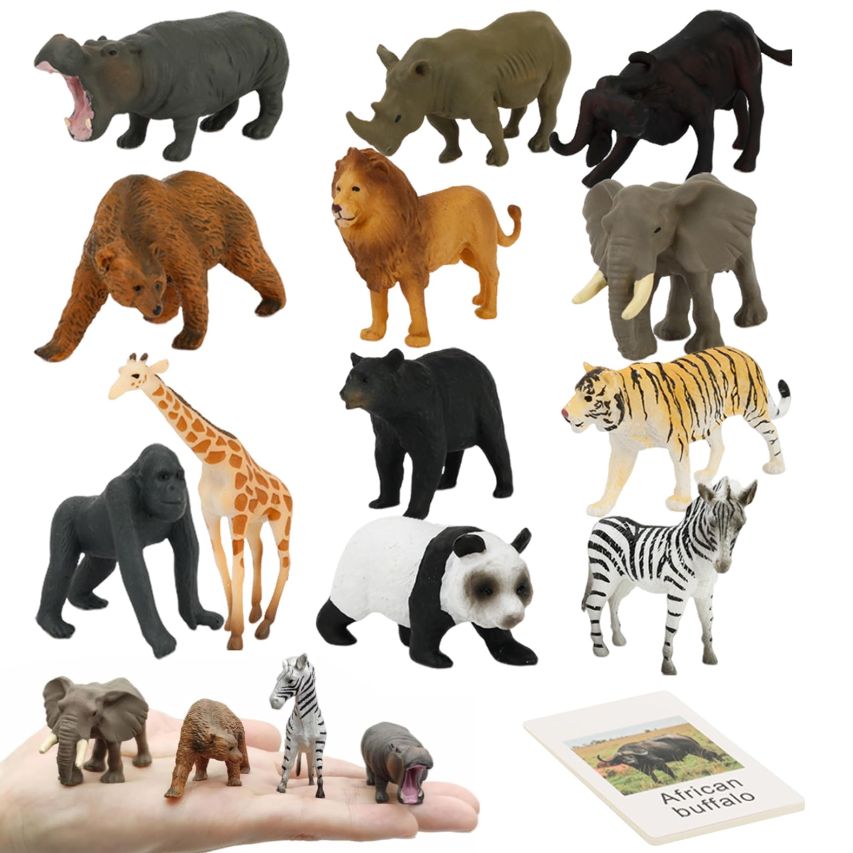 24 pezzi/set Abbinamento di animali Montessori, Gioco educativo di abbinamento di animali con selvatici simulati e carte inglesi, Gioco di per bambini piccoli Giocattoli di appre