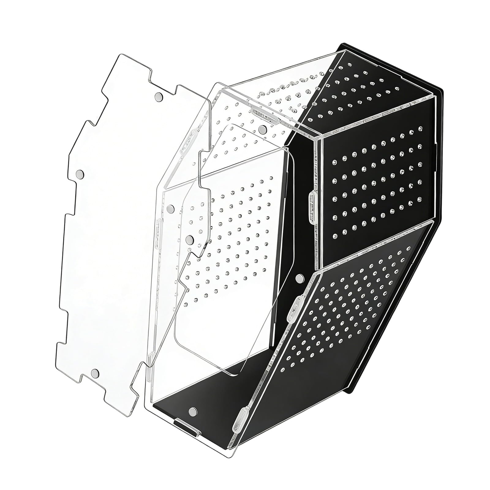 Enceinte acrylique transparente pour araignées sauteuses et reptiles