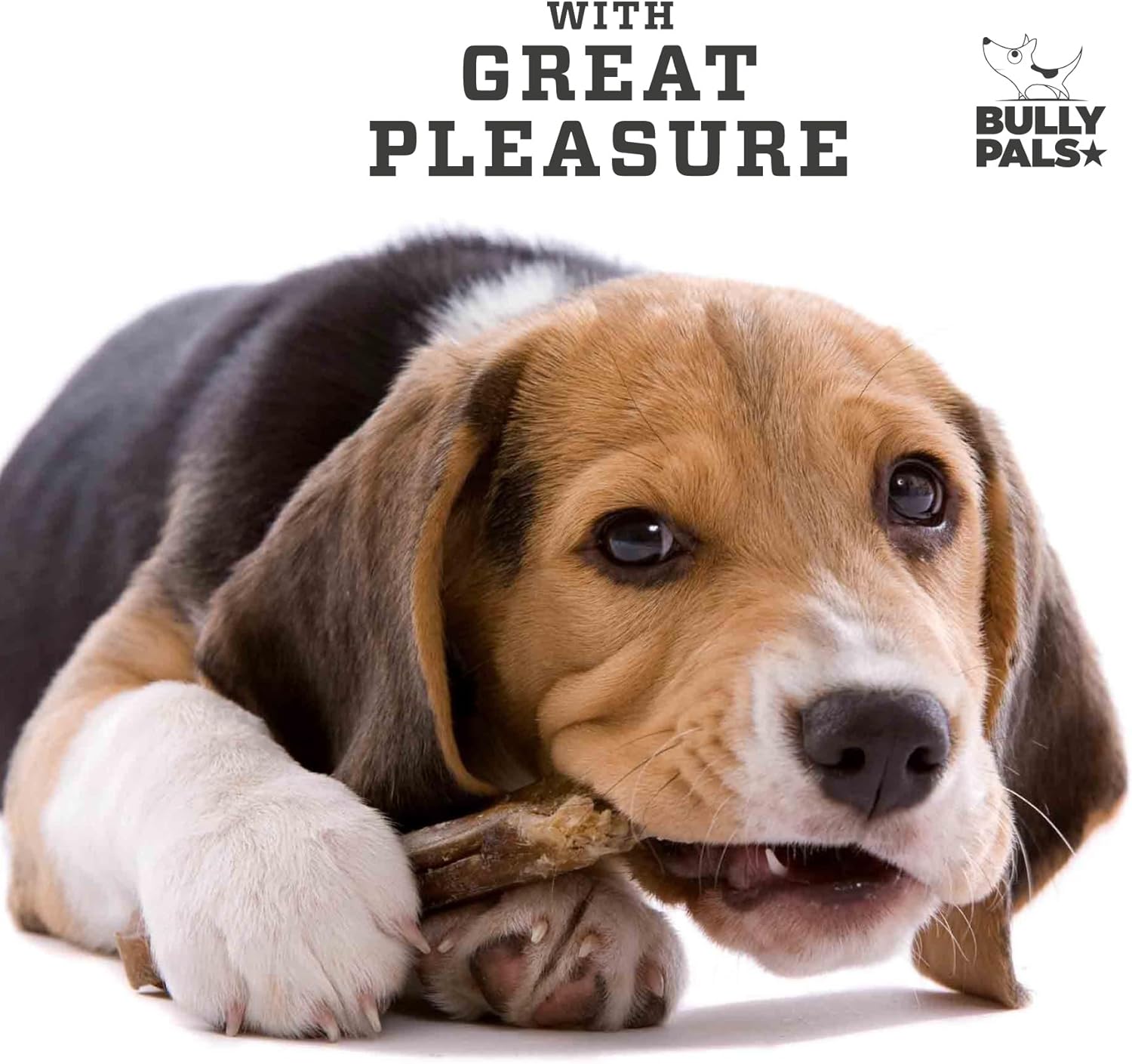 12 inch Thick Bully Sticks for Medium to Large Dogs - 10 Pack - Long Lasting, All Natural, Single Ingredient, Easily Digestible, Beef Dog Treats and Rawhide Free Dental Chews for Dogs