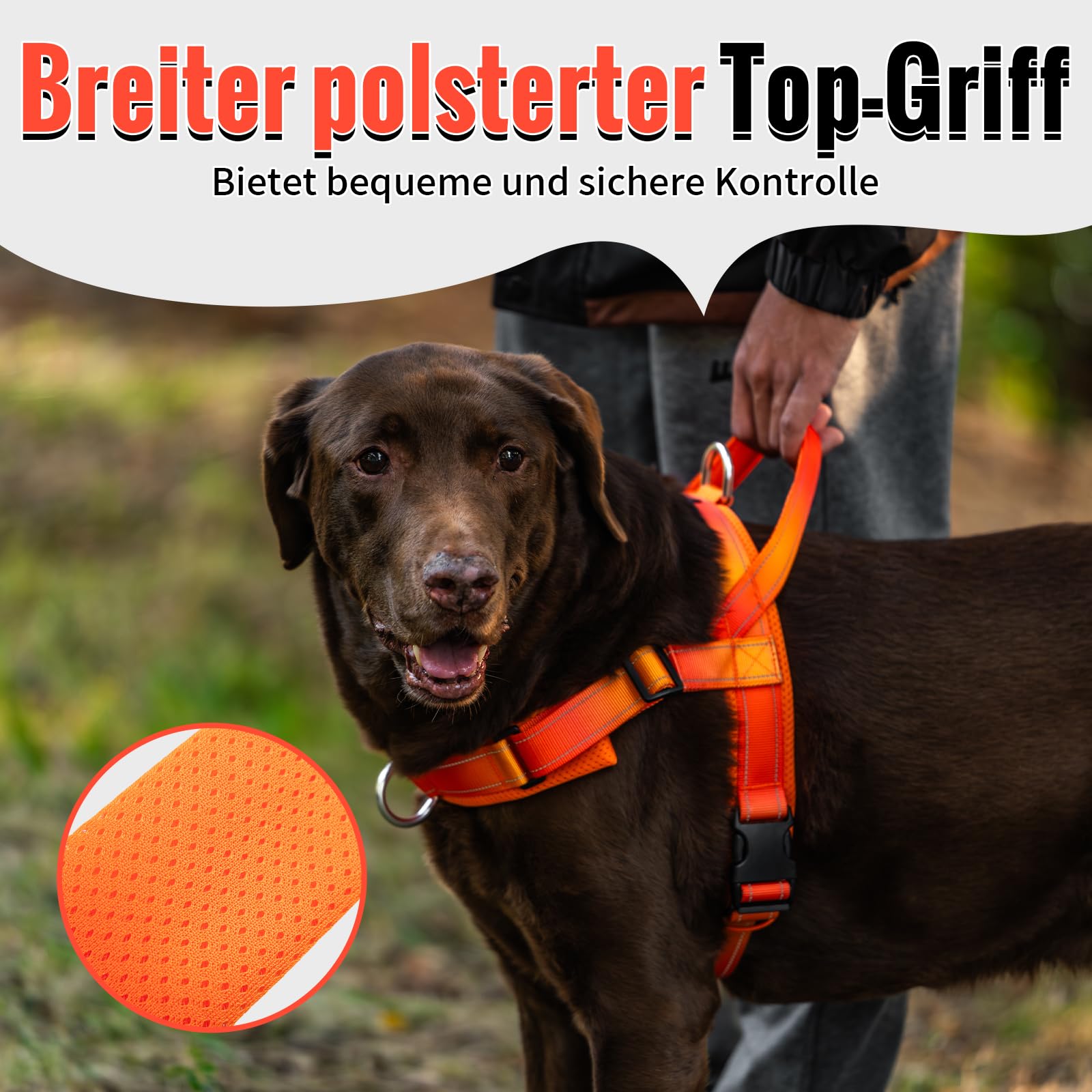 Arblina Hundegeschirr, Anti-Zug Hundegeschirr für Mittelgroße und Große Hunde, T-förmiges Anti Zieh Hundegeschirr mit Reflex, Brustgeschirr Gepolstert für Pitbull, American Bullies, Orange L