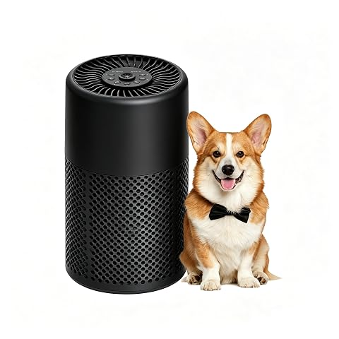CHIVALZ HEPA Air Purifier for Bedroom,24dB Quiet,Black,1Pack+3 Modes