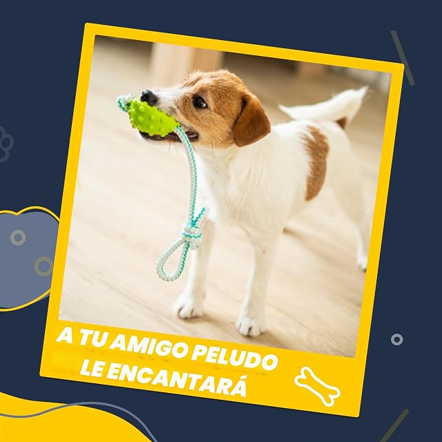 Foto 7 de 7 de FANCY Pets Pelota con Cuerda para Perros, Pelota Interactiva para Perro