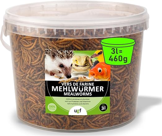 UGF - vers de Farine séchés de qualité supérieure - 460 g en Seau de 3 litres, Nourriture pour Oiseaux Sauvages Toute l'année, Nourriture pour hérissons, écureuils et Hamsters