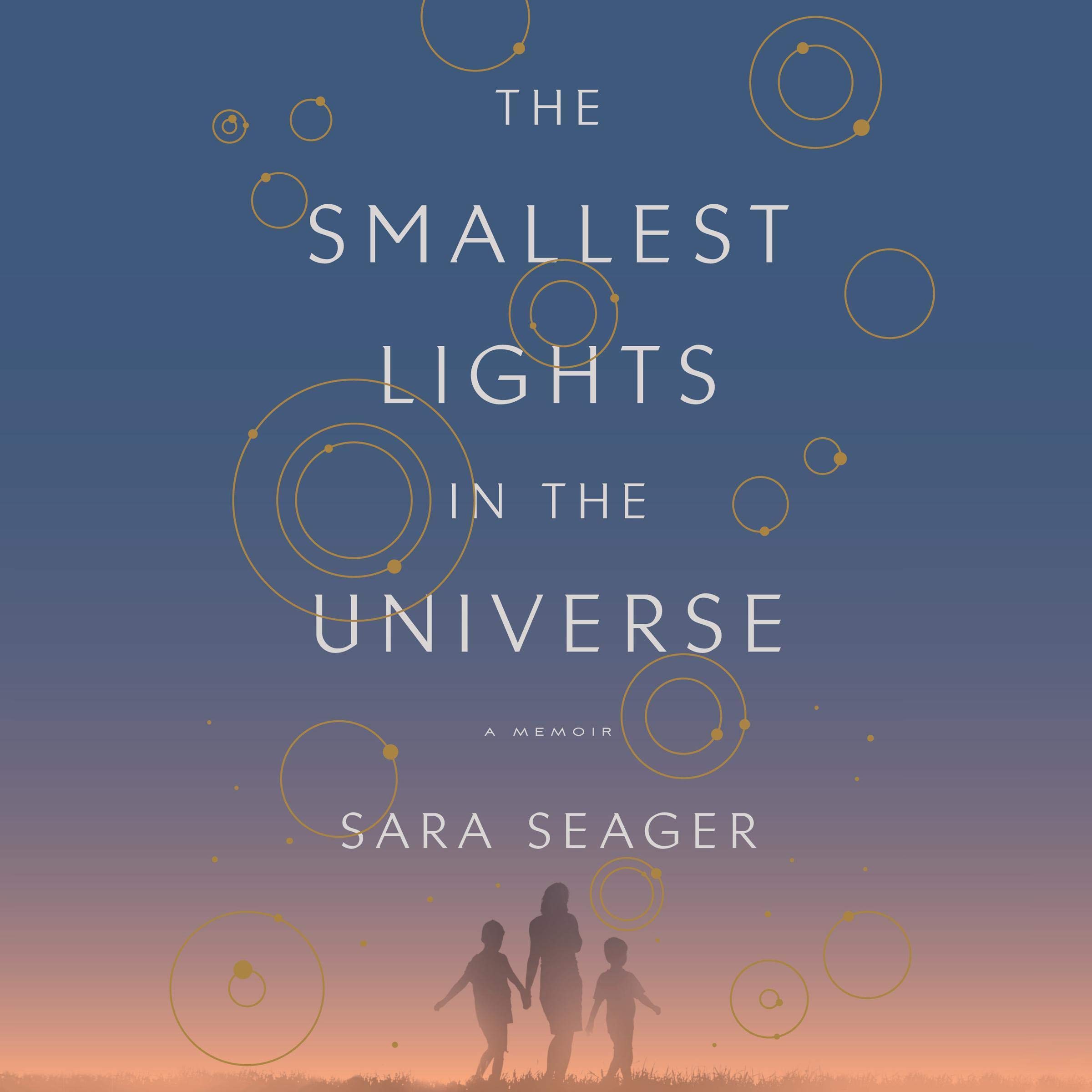 Cover art for The Smallest Lights in the Universe