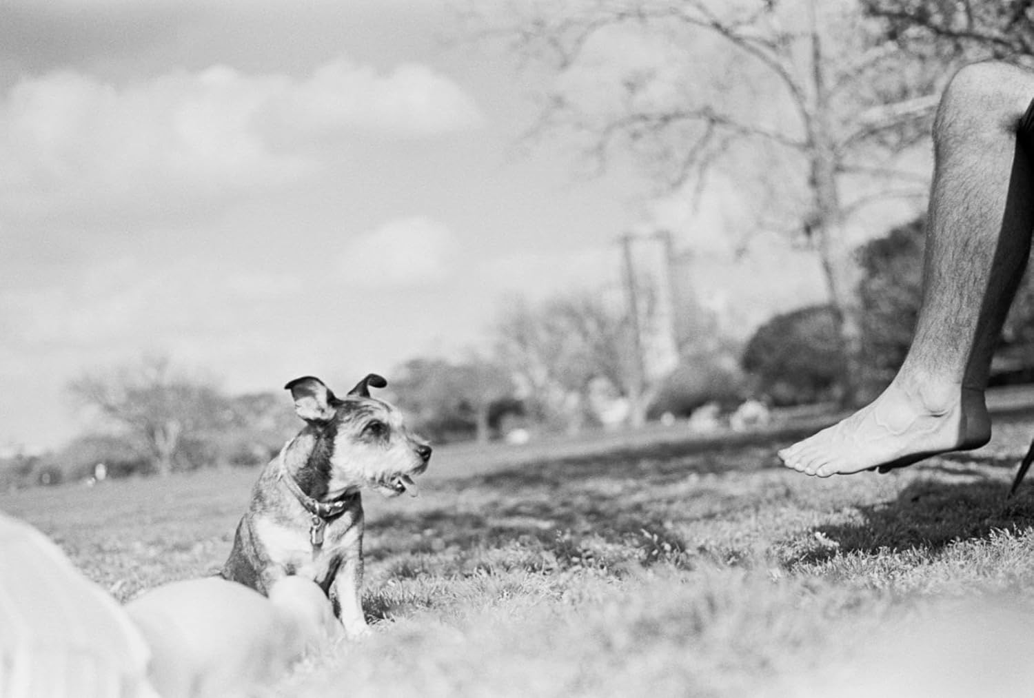 3-Pack - City Walk, Faster Edits: Film 35mm Black and White ISO400, Scan-Optimized Negatives for Flatbed Accelerate Export, Street Photography Kit Helps Sequence Alleys, Crosswalks