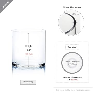 WGV Cylinder Vase, Width 7, Height 7, Clear Wide Large Diameter Flower Glassware, Floral Container, Planter Terrarium for Wedding Party Event, Home Accent Decor, 1 Piece