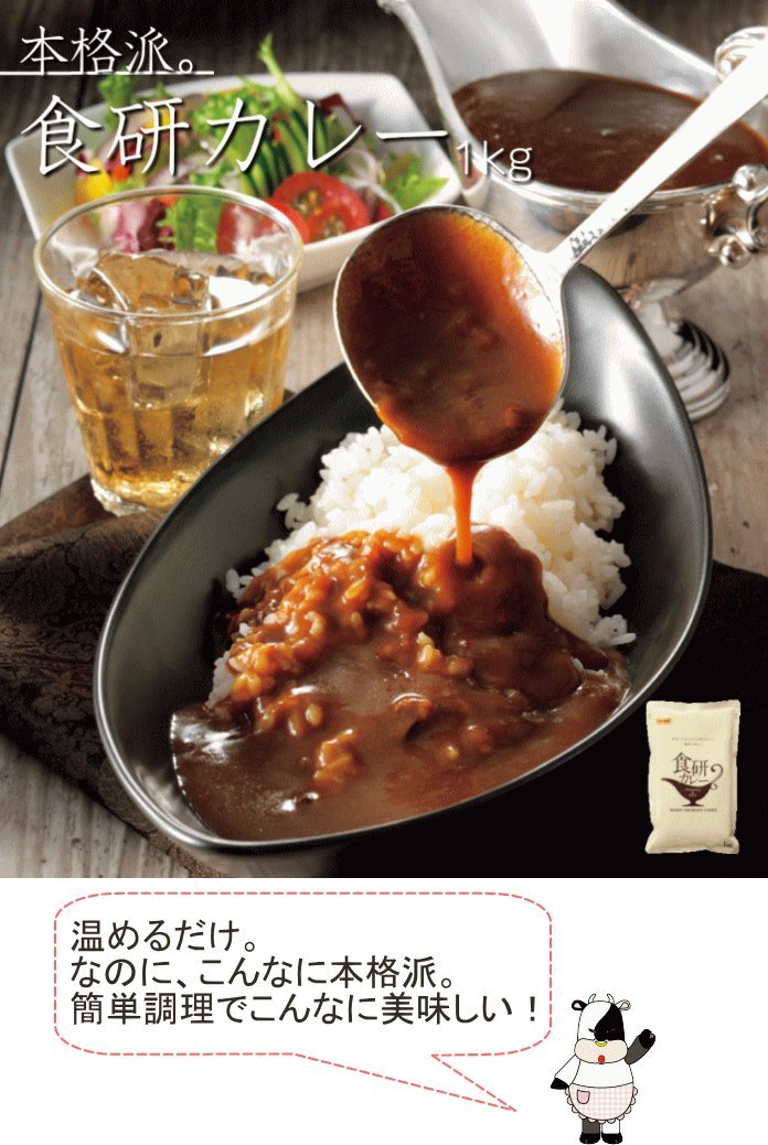 Amazon.co.jp: 食研カレー1kg 日本食研 業務用 : 食品・飲料・お酒