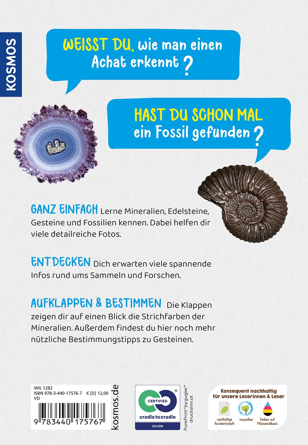 Welcher Stein ist das? Kindernaturführer: 85 Mineralien, Gesteine, Fossilien. Richtig Bestimmen, Spaß in der Natur, die Welt der Mineralien und Gesteine entdecken.