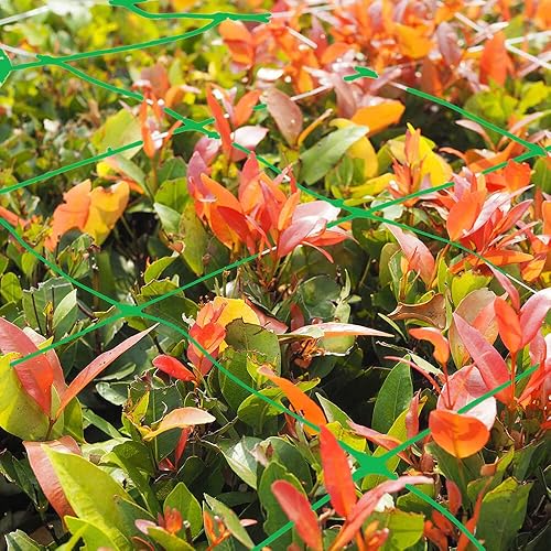 Miniatura 7 de Rollo de red de enrejado verde resistente, 47 x 328 pies, red de enrejado verde para plantas trepadoras