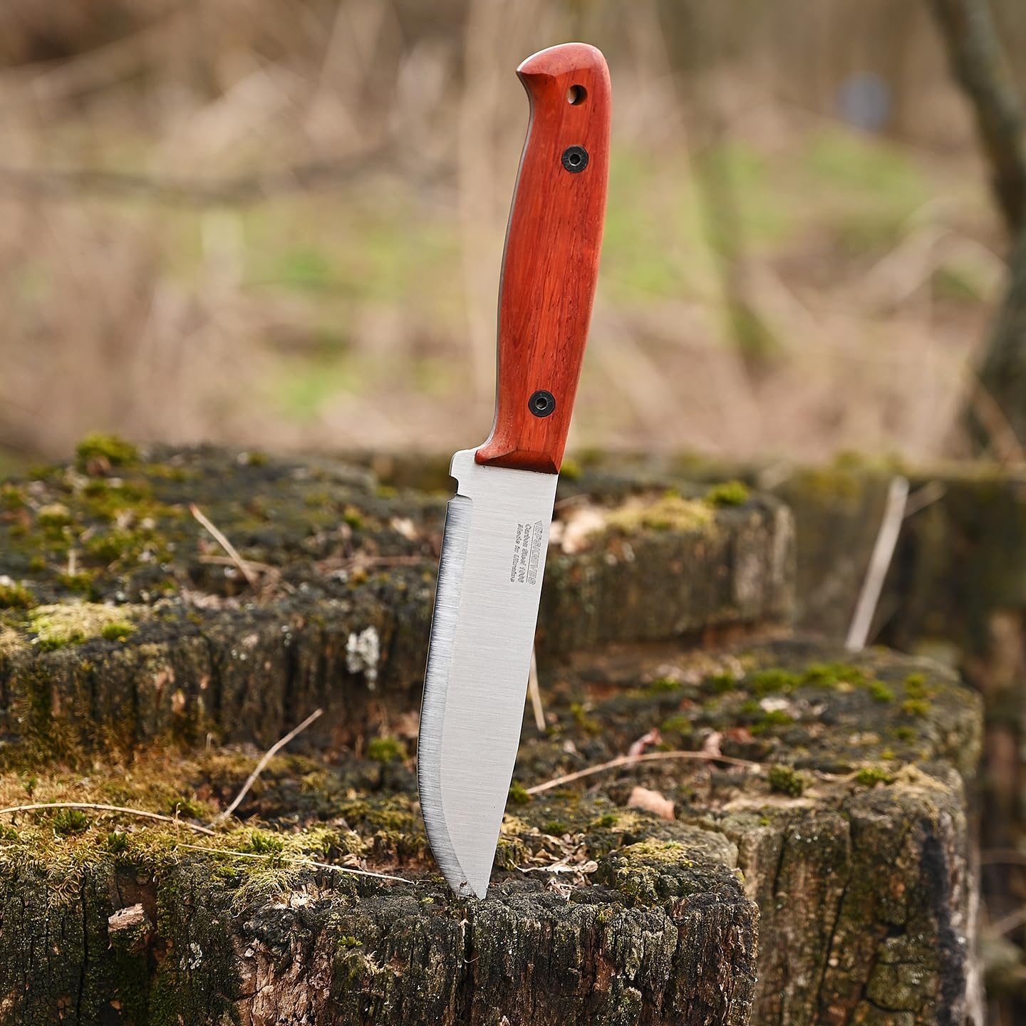 BPSKNIVES Flamebird Adventurer - Fixed-Blade Carbon Steel Bushcraft Knife with Leather Sheath - Outdoor Full Tang Utility Knives - Camping Knives - Survival Tactical Camp Knife