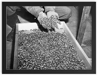 Framed Wall Art Featuring Wedding Rings of Holocaust Victims 1945 Historical Memorial Print - 12x16 inches