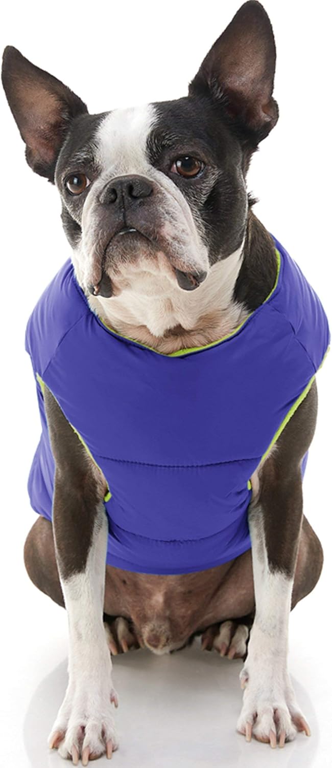 Gooby Padded Vest Dog Jacket - Solid Purple, Medium - Warm Zip Up Dog Vest Fleece Jacket with Dual D Ring Leash - Water Resistant Small Dog Sweater - Dog Clothes for Small Dogs Boy and Medium Dogs : Pet Supplies