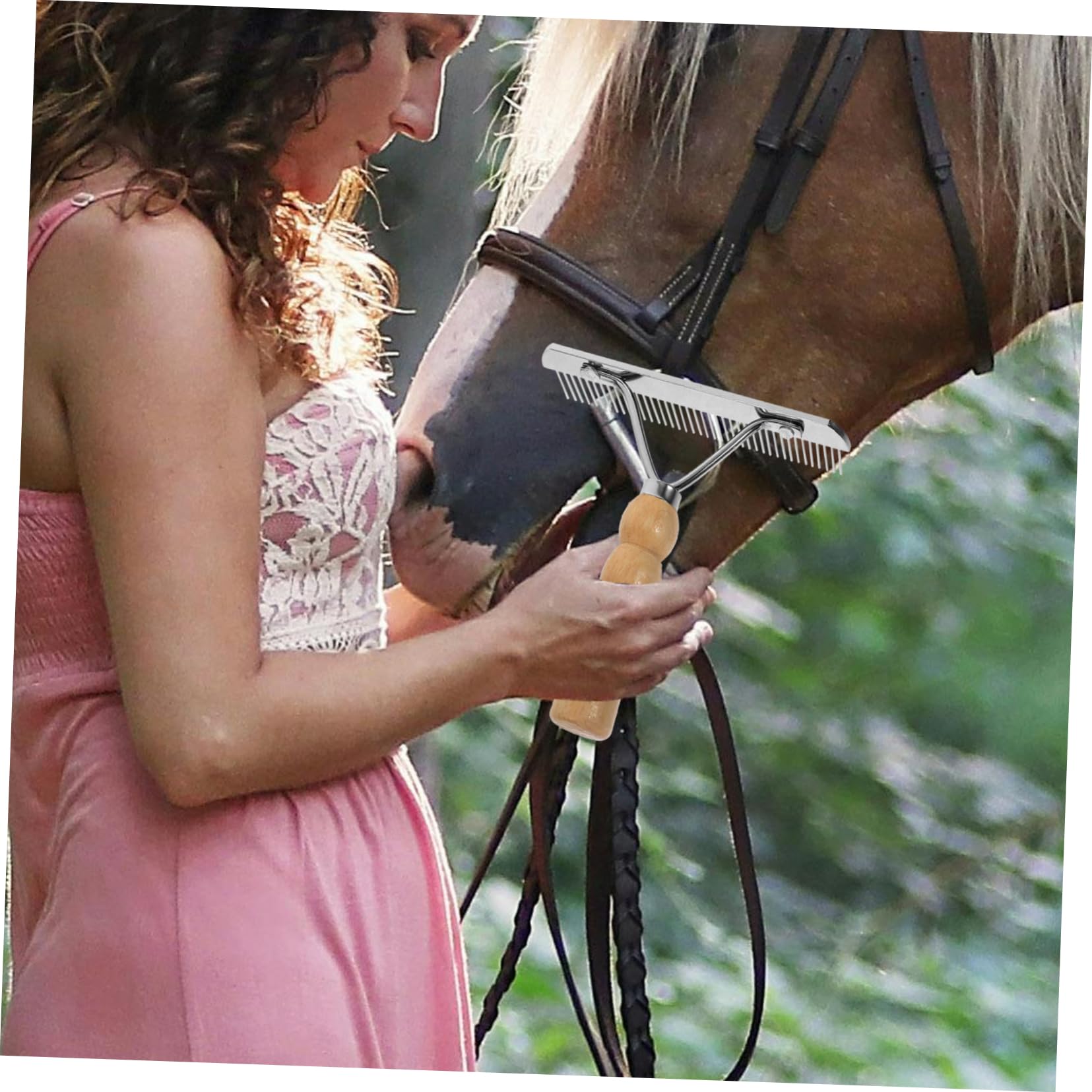 Kisangel 4 Piezas De Peine De Limpieza De Pelo De Caballo Cepillo De Limpieza Accesorio De Limpieza Diseño Sin Diseño