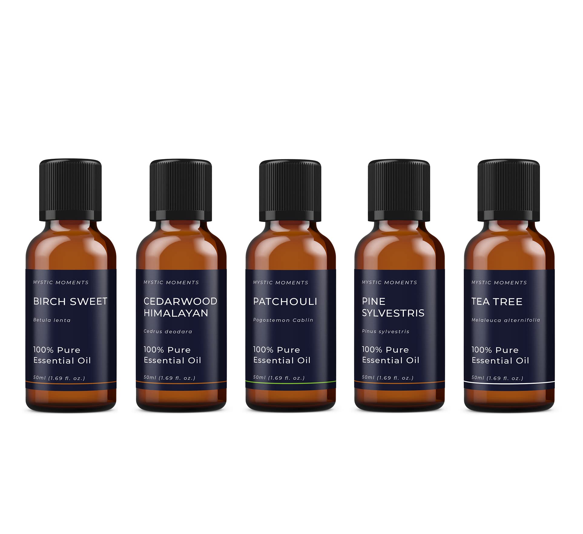 Mystic Moments | Wald Set ätherischer Öle | 5x50ml