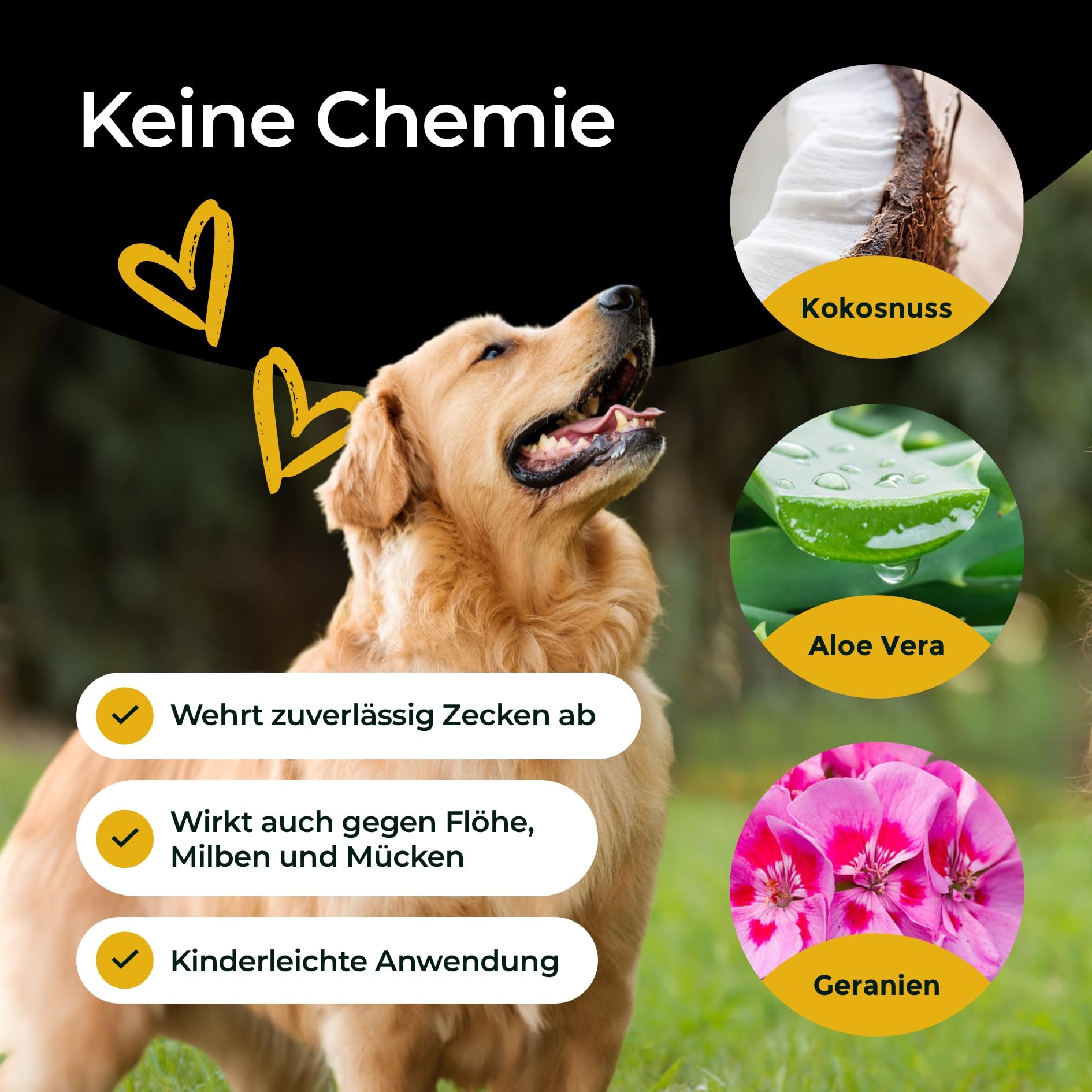 Zecken Tinktur 50 ml - Repellent Gegen Zecken - Insektenschutz Hund - Ätherische Öle Gegen Zecken, Flöhe, Milben & Mücken - Made in Germany