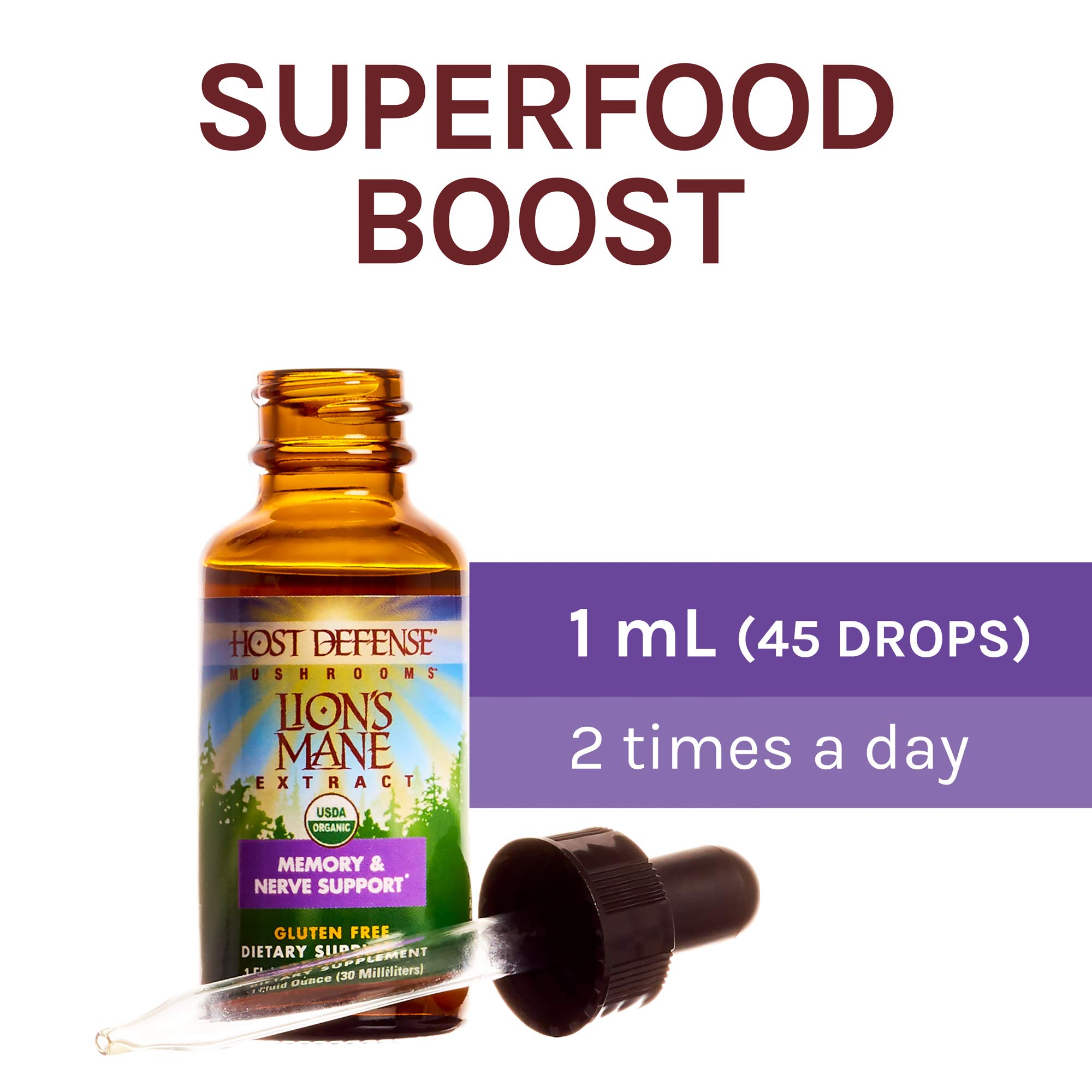 Amazon.com: Host Defense, Lion's Mane Extract, Promotes Mental Clarity,  Focus and Memory, Mushroom Supplement, Plain, 1 fl oz : Health & Household