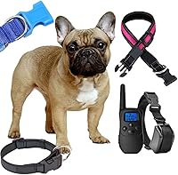 Vista 7 de CooBigo Paquete de 5 Hebillas de liberación lateral de 3/4" ajustables dobles, 4.5 m de correa de nailon de 3/4" de PP para camping al aire libre