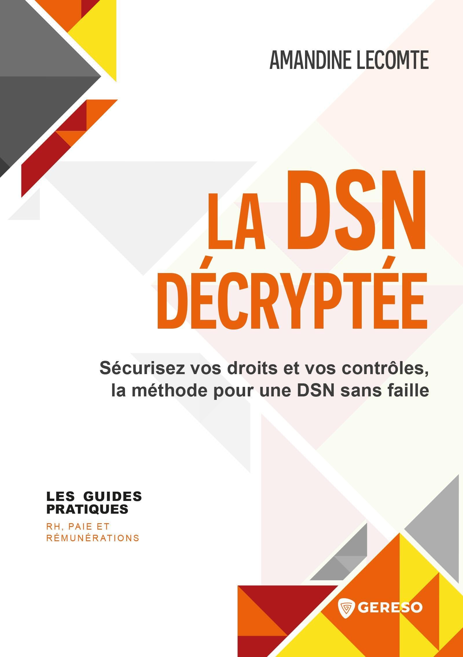 La DSN décryptée: Sécurisez vos droits et vos contrôles, la méthode pour une DSN sans faille