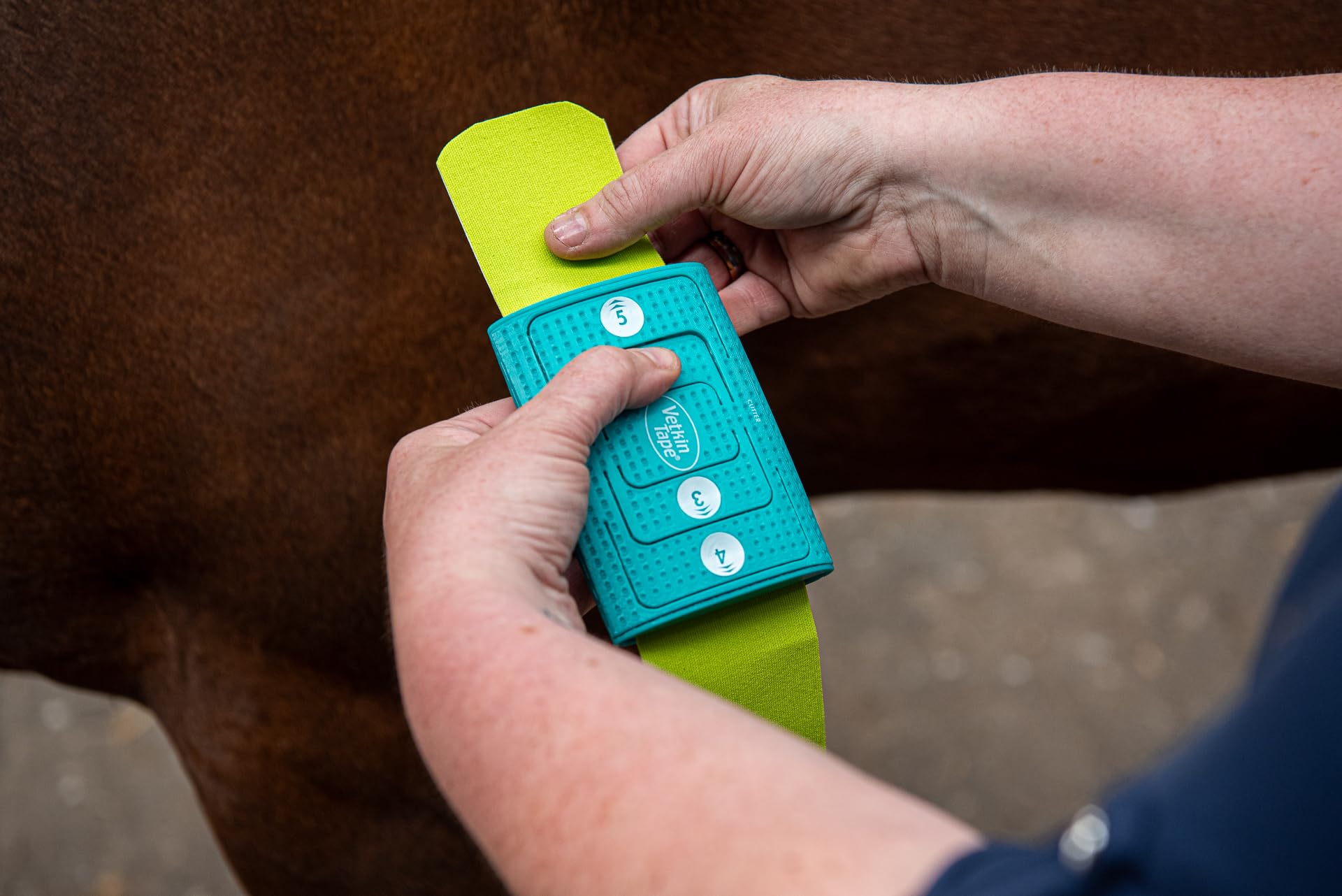 Vetkin Tape - Cortador de cinta de kinesiología de 6 cm | Cortadora de fisioterapia animal y cinta linfática | Corta 2 – 5 tiras | Compacto y preciso | Accesorios para terapeutas