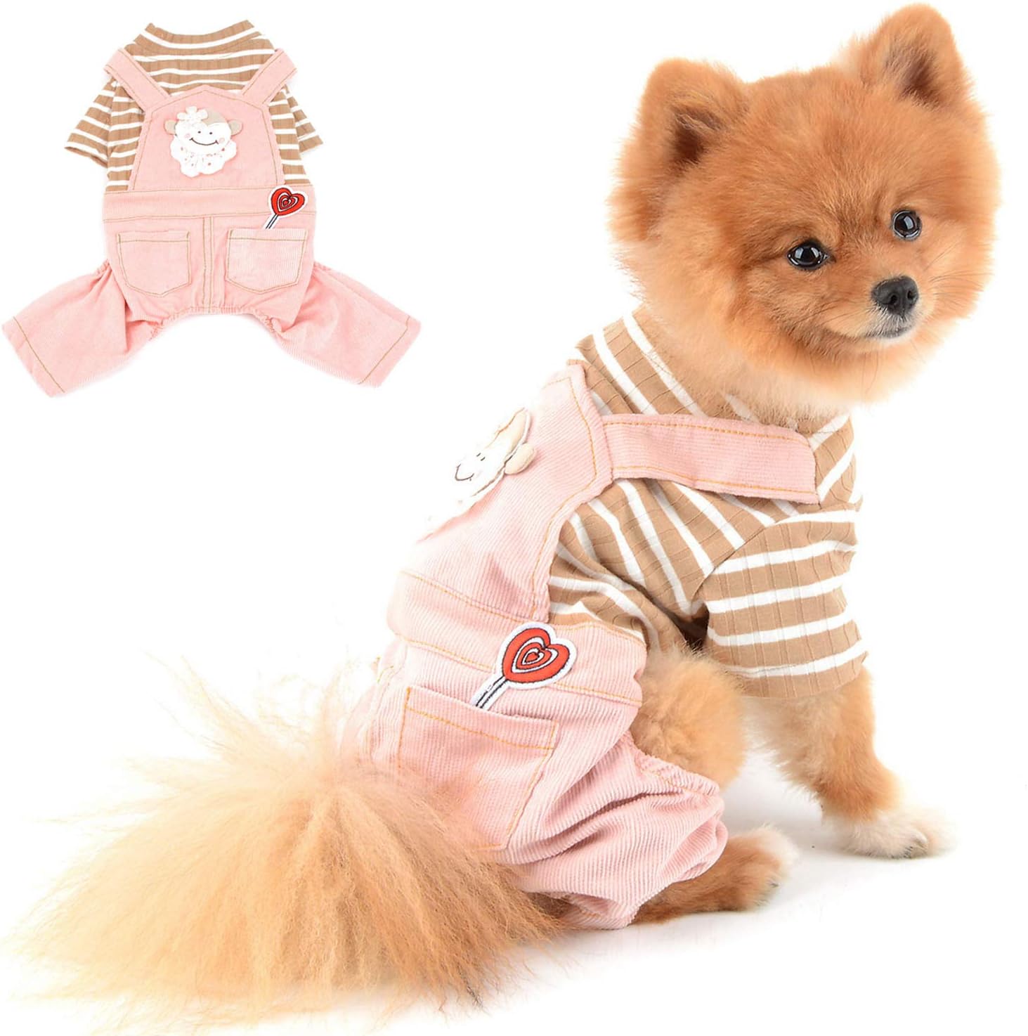 chihuahua clothes petsmart